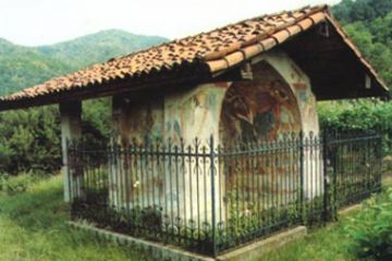 Sfoglia la galleria
