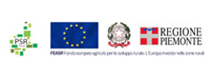 Fondo europeo agricolo per lo sviluppo rurale (FEASR)